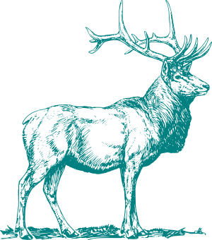 tealdeer icon