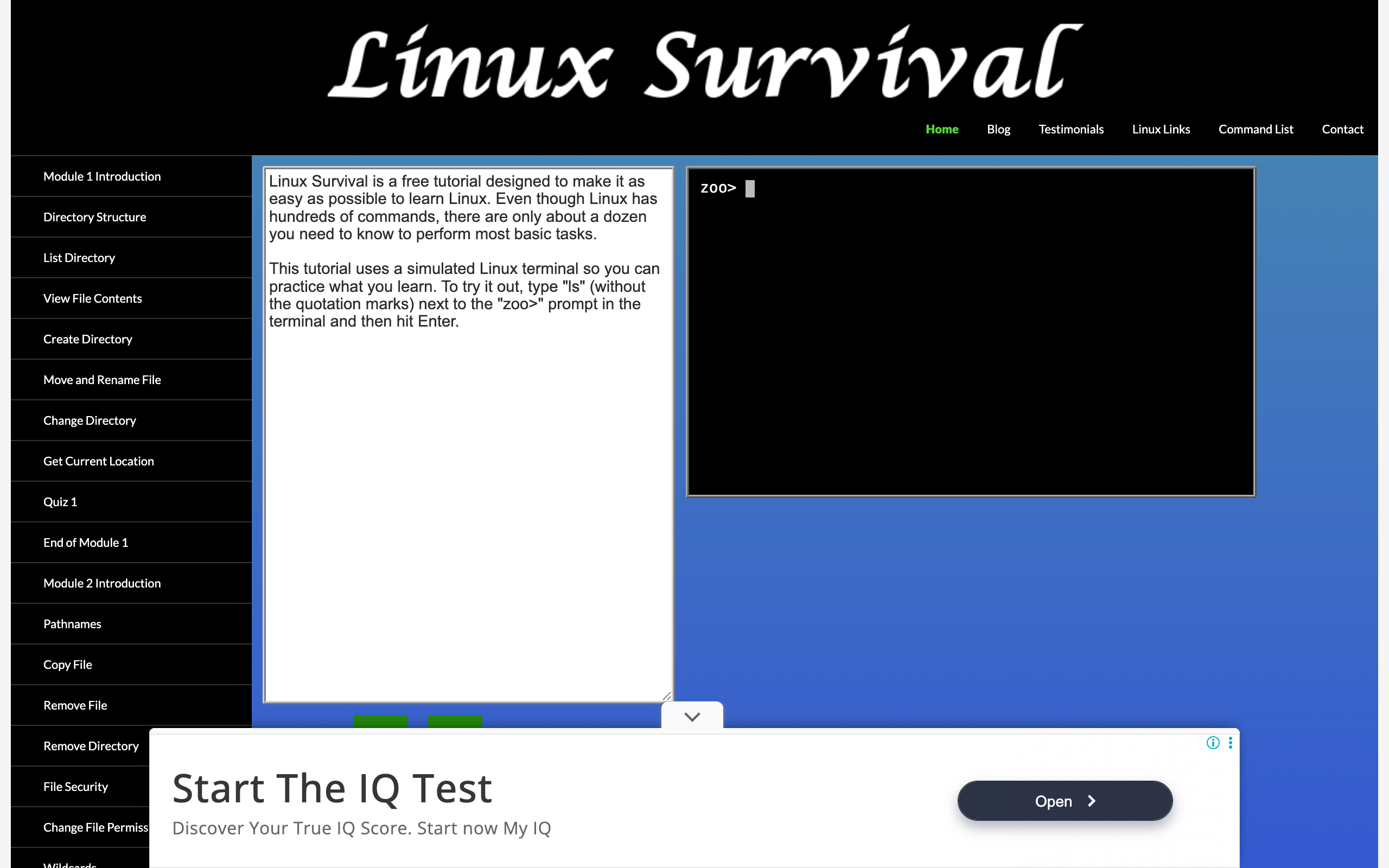 Linux Survival interactive terminal tutorial for learning basic Linux commands